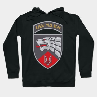 Ukrainian 3rd Special Forces Regiment Hoodie